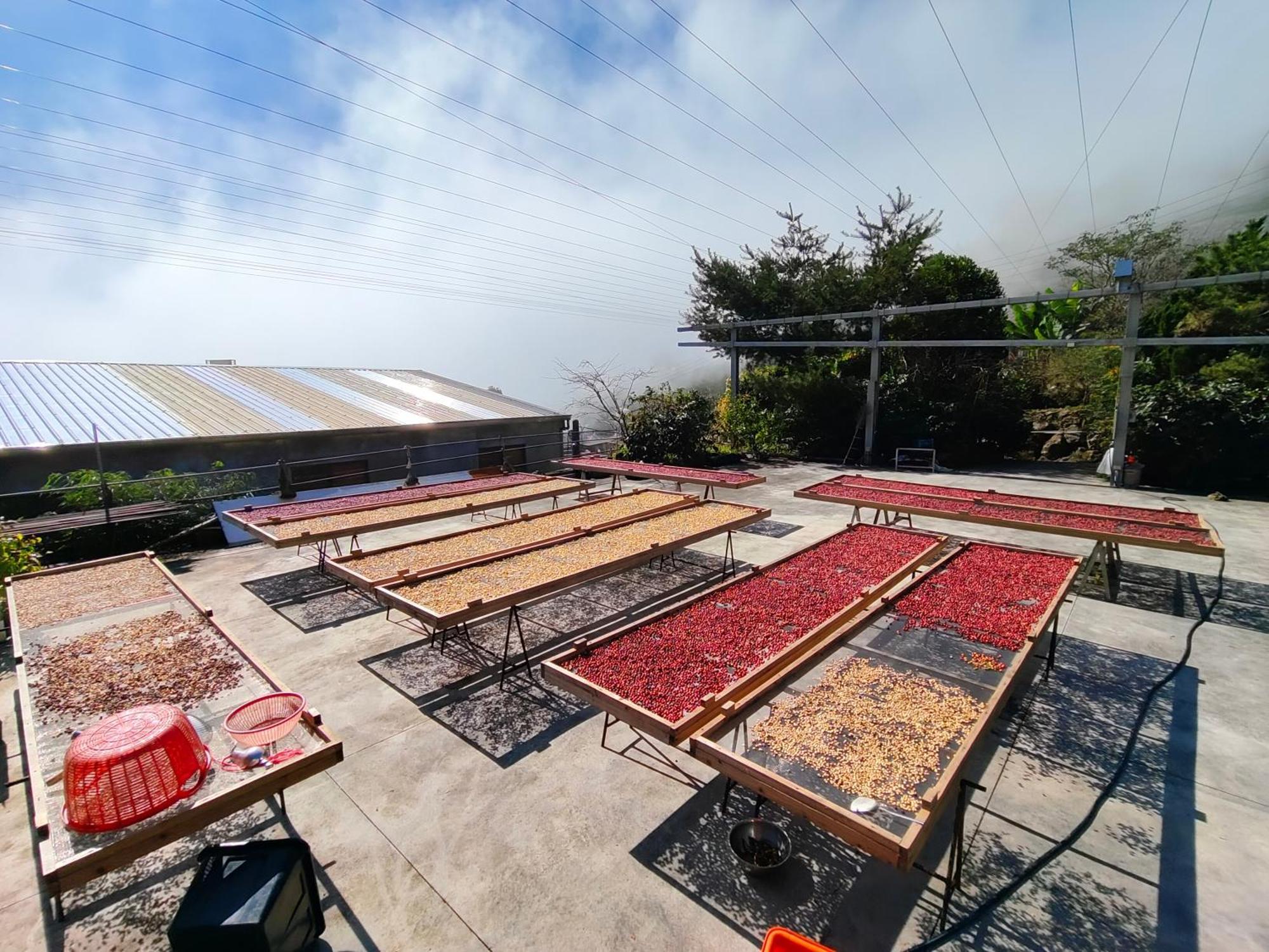 Fanlu Slow House מראה חיצוני תמונה